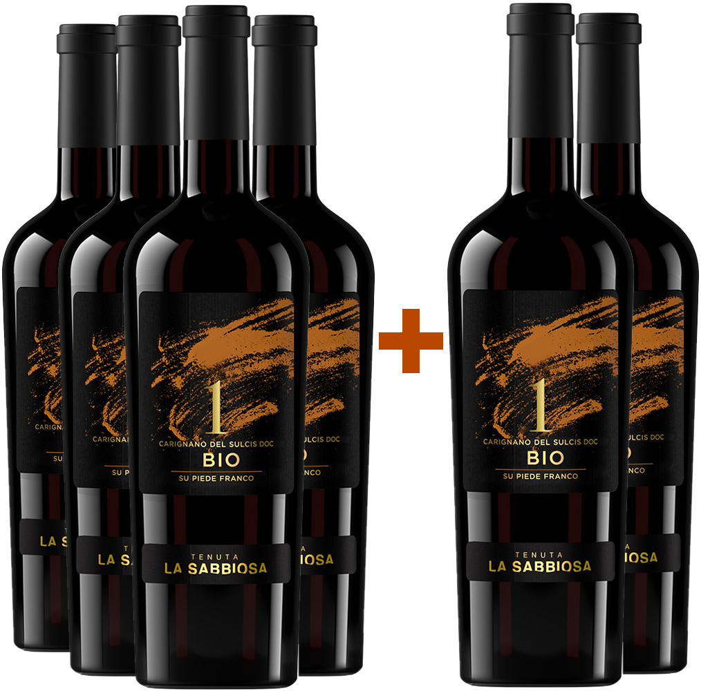 4+2 Carignano del Sulcis DOC BIO 4+2 Carignano del Sulcis DOC BIO