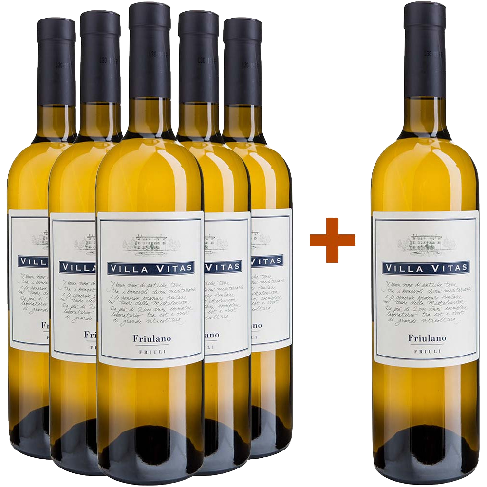 5+1 Friulano Friuli DOC