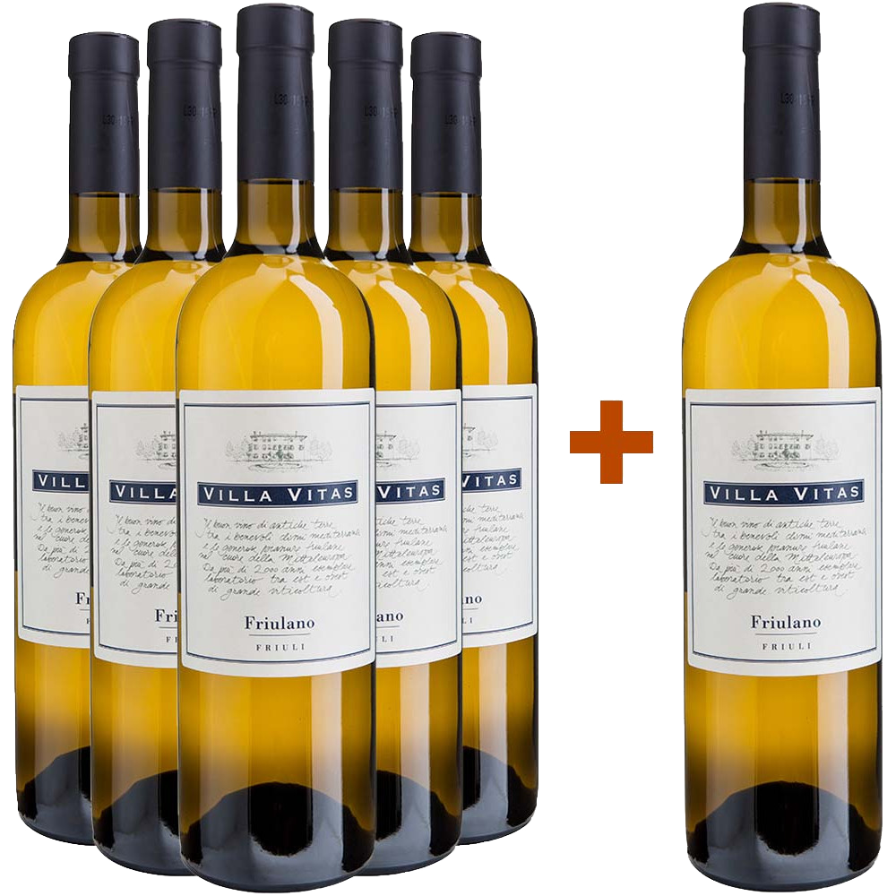 5+1 Friulano Friuli DOC 5+1 Friulano Friuli DOC