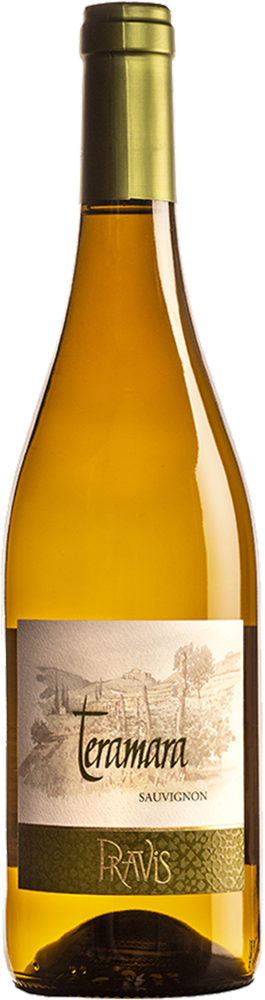 2024 SAUVIGNON Teramara/Pravis