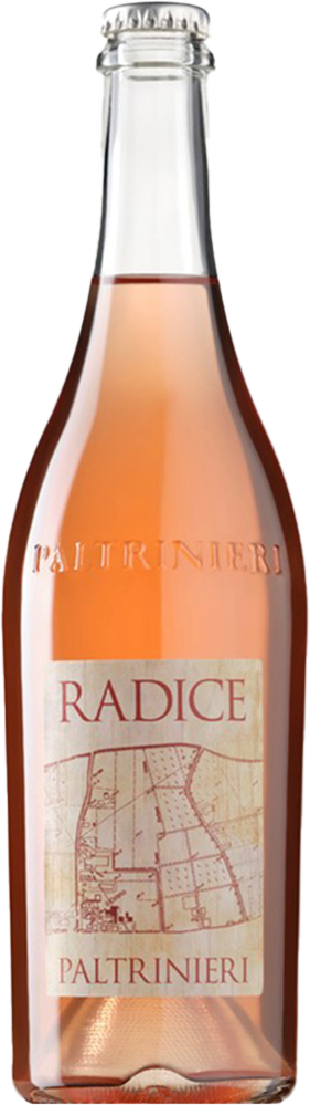 2023 Radice Lambrusco di Sorbara DOC 2023 Radice Lambrusco di Sorbara DOC