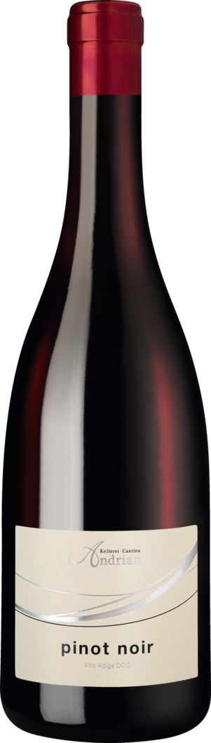 Cantina Terlan 2024 Cantina Andrian Pinot Nero