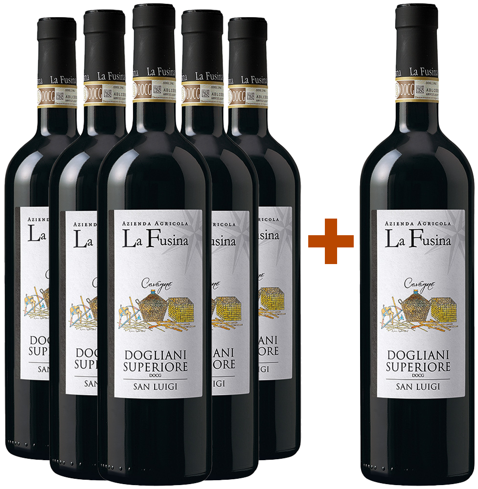 5+1 San Luigi Cavagnè Dogliani Superiore DOCG 5+1 San Luigi Cavagnè Dogliani Superiore DOCG
