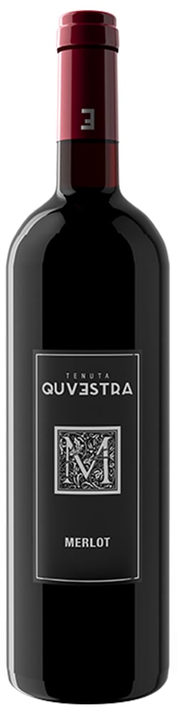 Merlot Provinz Pavia IGP Merlot Provinz Pavia IGP