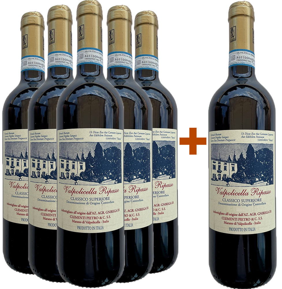 5+1 Valpolicella Ripasso Classico DOC