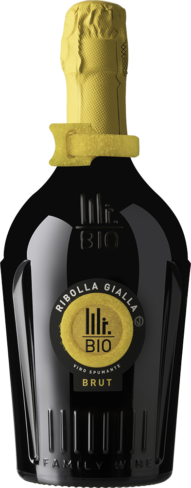 2022 Spumante Ribolla Gialla BIO 2022 Spumante Ribolla Gialla BIO