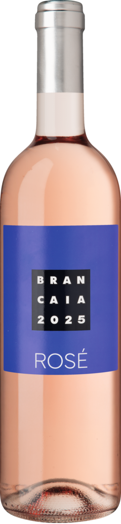 Brancaia 2025 Brancaia Rosé BIO