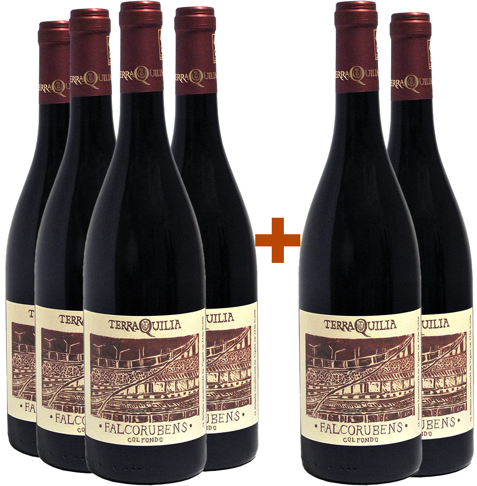 4+2 Falcorubens col fondo Emilia IGP BIO BIO 4+2 Falcorubens col fondo Emilia IGP BIO BIO