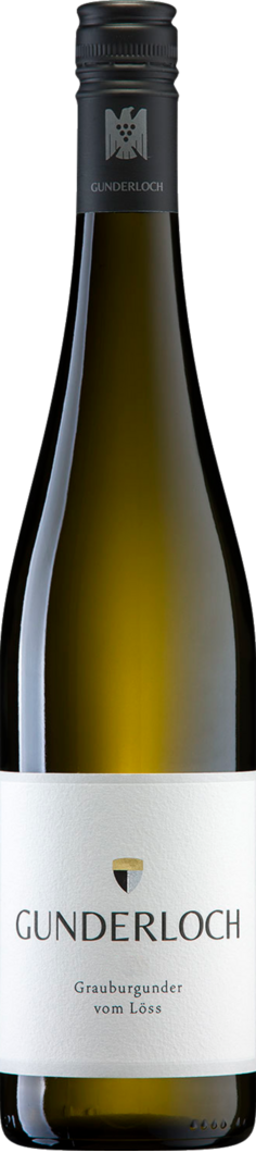 Weingut Gunderloch 2024 Gunderloch Grauburgunder vom Löss BIO