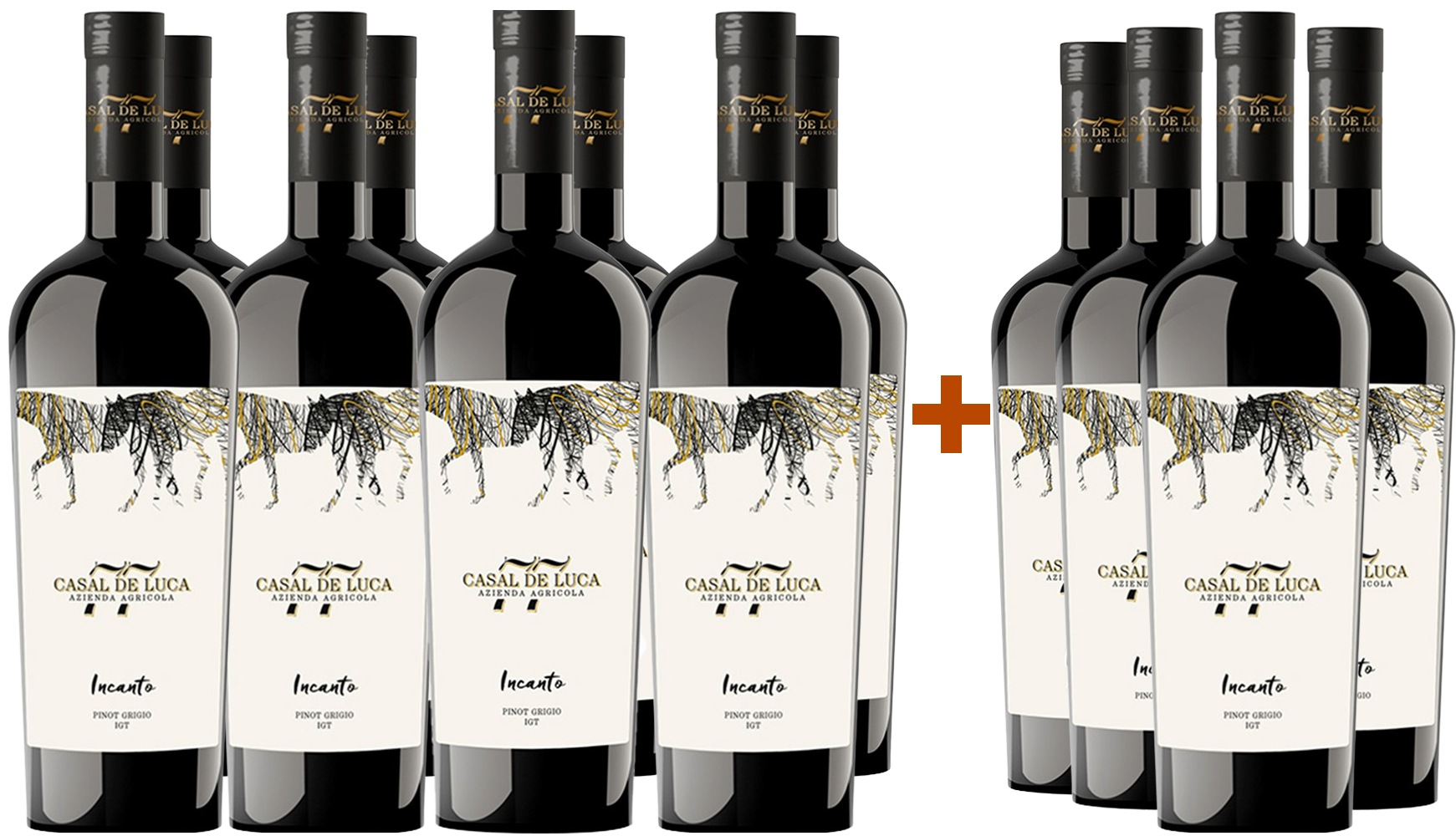 8+4 Incanto Pinot Grigio Lazio IGP BIO