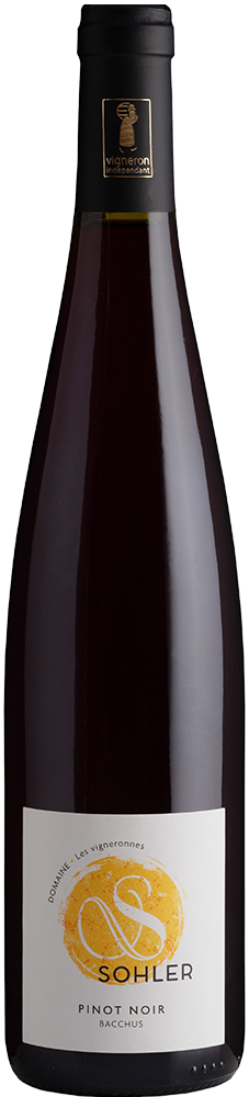 2024 Pinot Noire Alsace AOP BIO