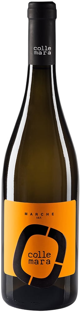 2023 Bianco Marche IGP 2023 Bianco Marche IGP