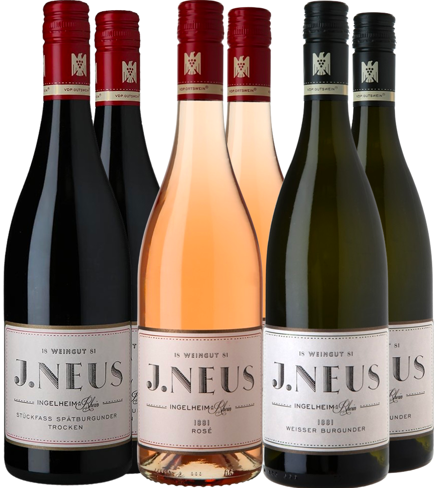 Weingut J. Neus Kennenlern-Paket Weingut J.Neus