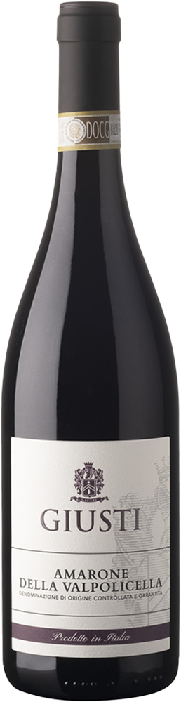 2019 Amarone della Valpolicella DOCG