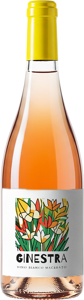 GINESTRA - Vino Orange