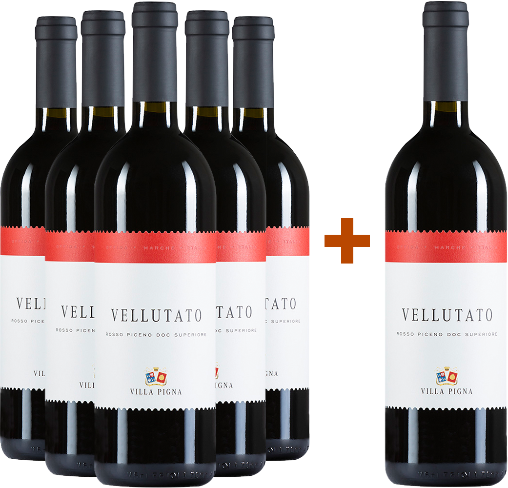 5+1 Vellutato Rosso Piceno Superiore DOC 5+1 Vellutato Rosso Piceno Superiore DOC