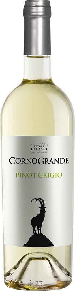 2023 Corno Grande Pinot Grigio Colline Pescaresi IGP 2023 Corno Grande Pinot Grigio Colline Pescaresi IGP