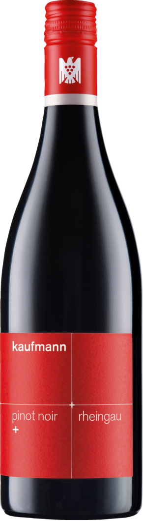 Weingut Kaufmann 2025 Kaufmann Pinot Noir + BIO