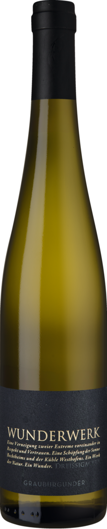 Weingut Dreissigacker 2023 Wunderwerk Grauburgunder BIO