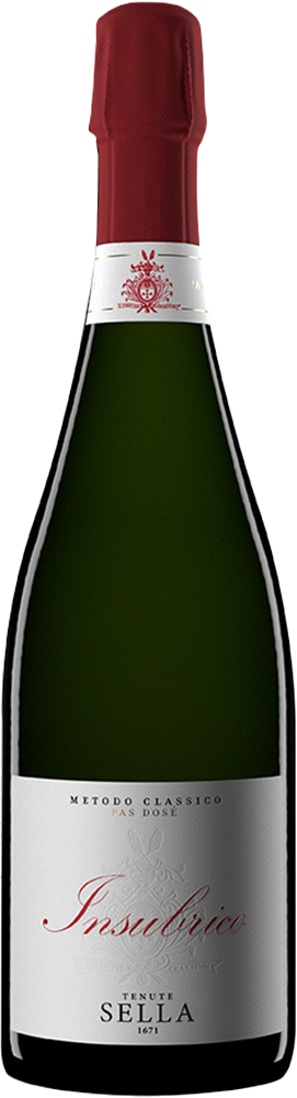 2023 Insubrico Metodo Classico 2023 Insubrico Metodo Classico