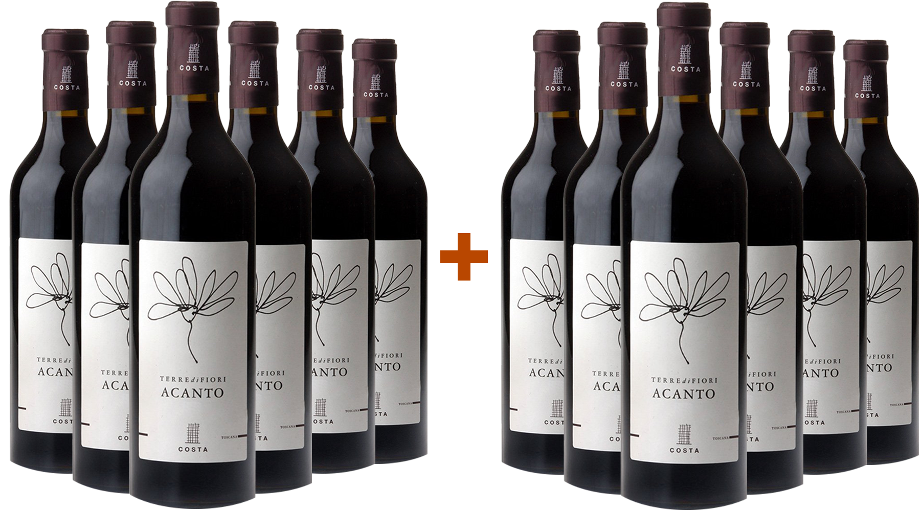 6+6 Terredifiori Acanto Toscana IGP Tenute Costa