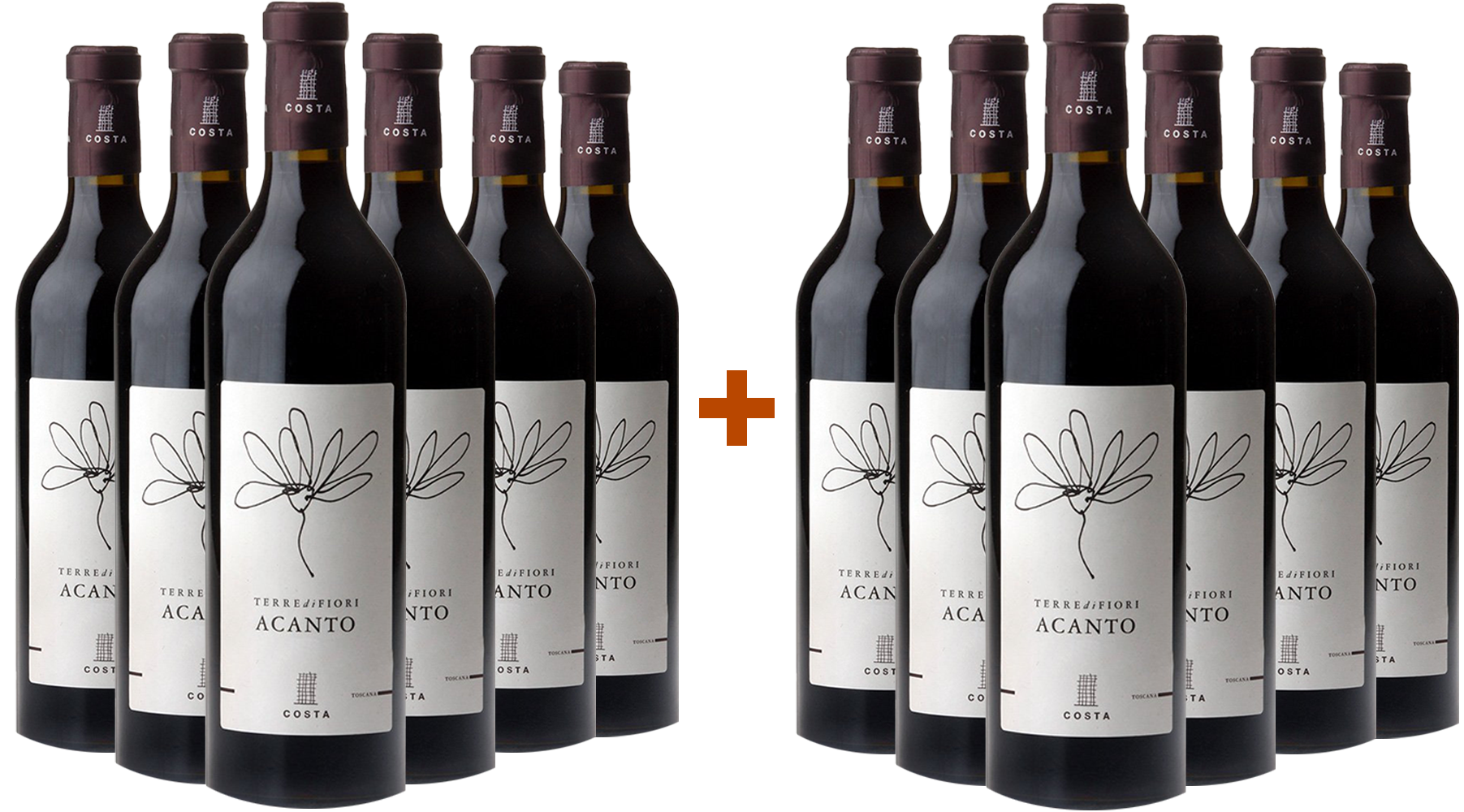6+6 Terredifiori Acanto Toscana IGP Tenute Costa 6+6 Terredifiori Acanto Toscana IGP Tenute Costa