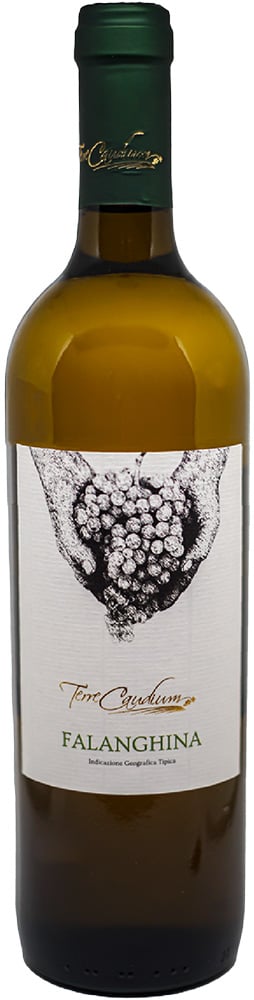 2021 Falanghina Benevento IGP 2021 Falanghina Benevento IGP