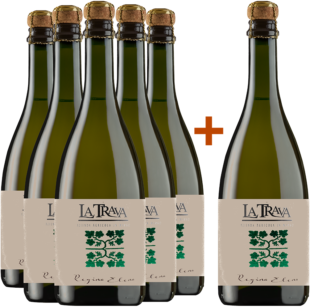 5+1 Campo dei fiori 5+1 Campo dei fiori