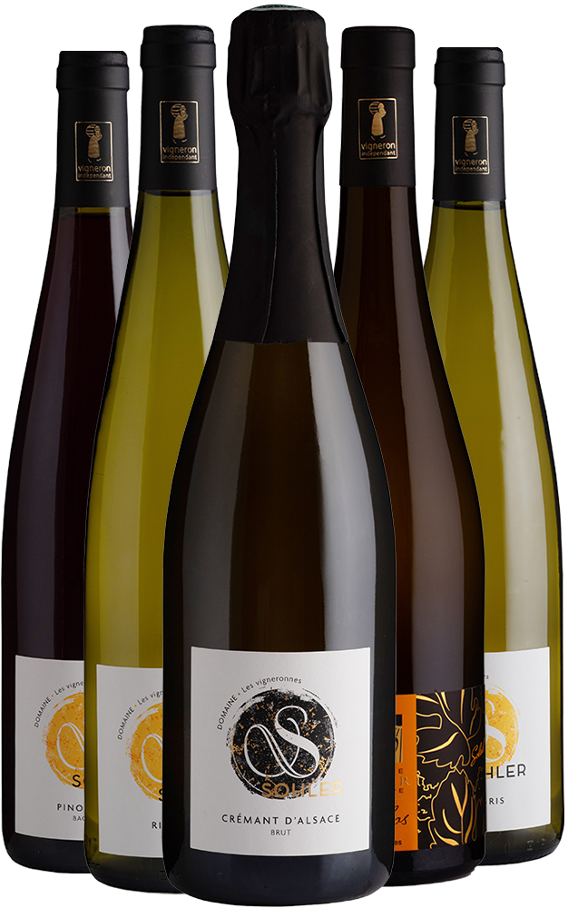Box Degustazione Domaine Sohler Les Vigneronnes BIO Box Degustazione Domaine Sohler Les Vigneronnes BIO
