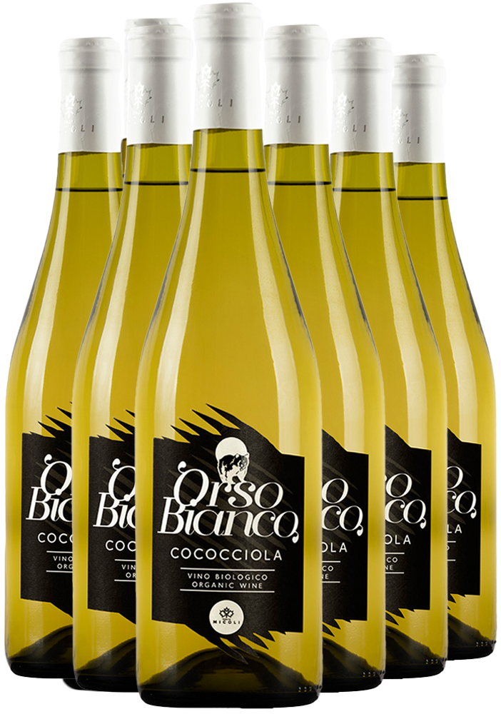Tenuta Micoli Box Promozionale Orso Bianco Cococciola Terre di Chieti IGP BIO Tenuta Micoli Box Promozionale Orso Bianco Cococciola Terre di Chieti IGP BIO