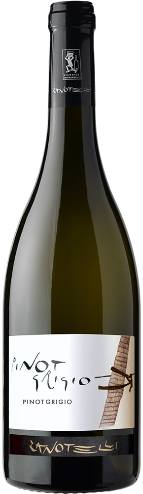 2023 Pinot Grigio Linea Le Strope Trentino DOC