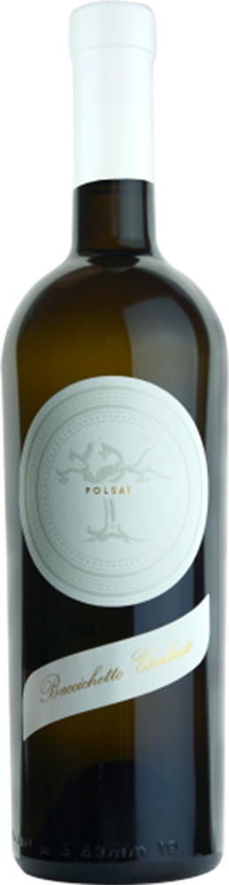 2021 Polsat Venezia Giulia IGP 2021 Polsat Venezia Giulia IGP