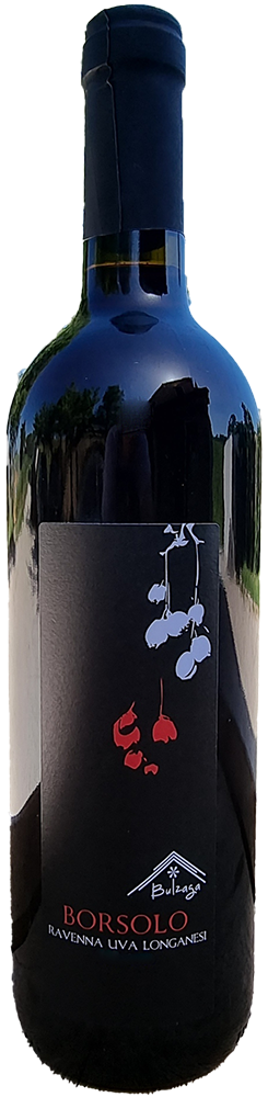 2021 Borsolo Ravenna IGP BIO