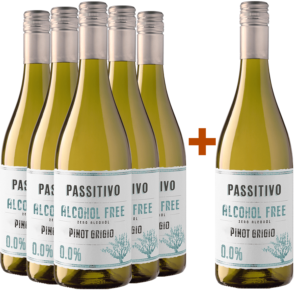 5+1 Passitivo Pinot Grigio