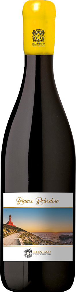 2024 Bianco Belvedere 2024 Bianco Belvedere