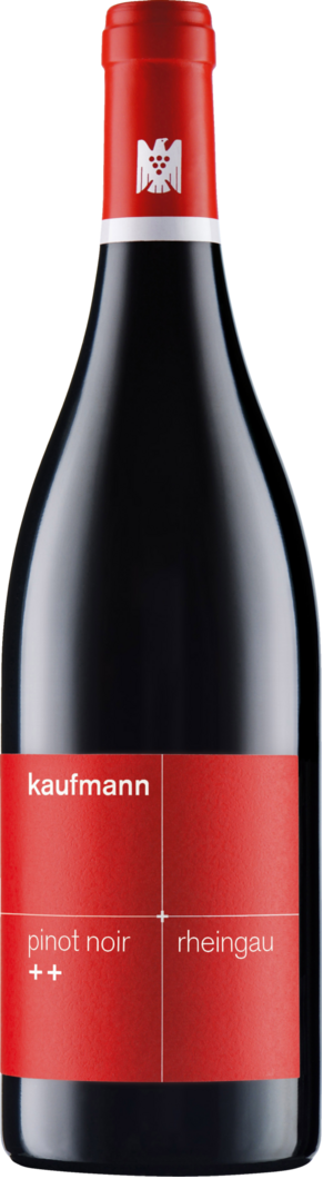 Weingut Kaufmann 2023 Kaufmann Pinot Noir ++ BIO