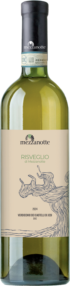 2024 RISVEGLIO - Verdicchio dei Castelli di Jesi DOC 2024 RISVEGLIO - Verdicchio dei Castelli di Jesi DOC
