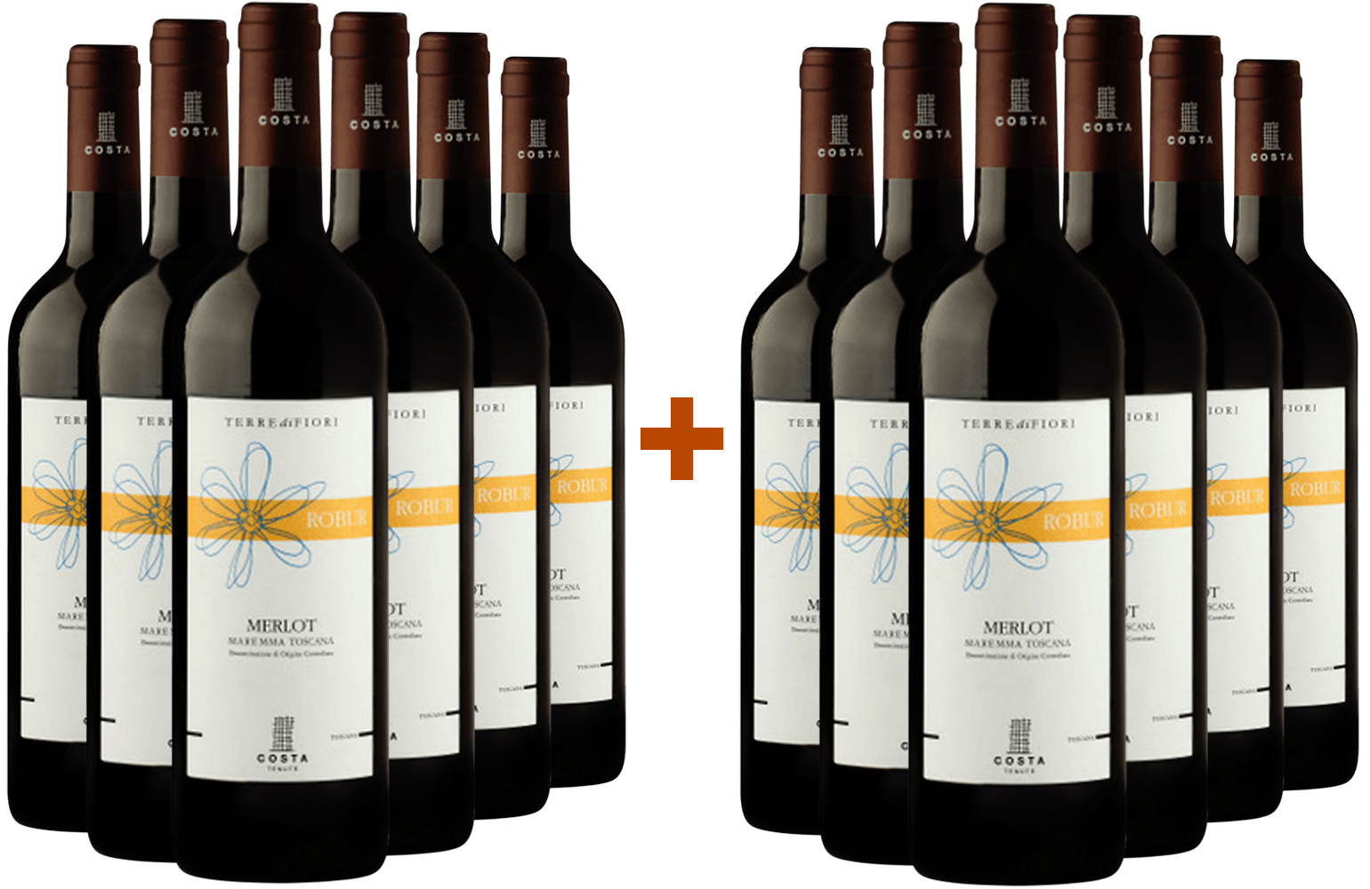 6+6 Robur Merlot Toscana IGP