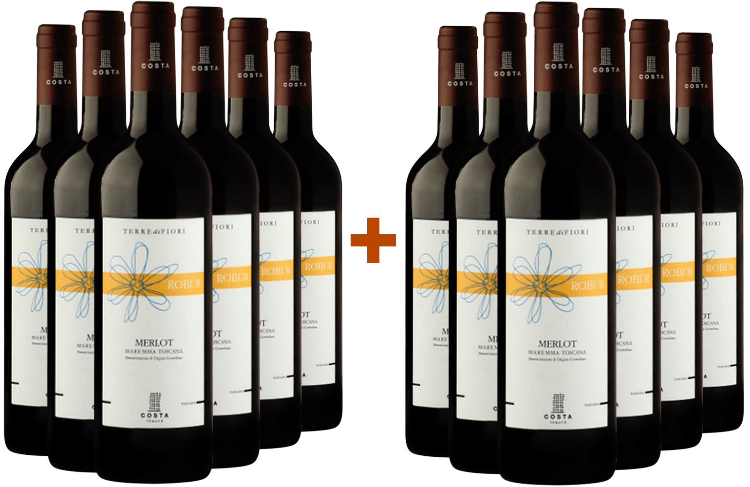 6+6 Robur Merlot Toscana IGP 6+6 Robur Merlot Toscana IGP