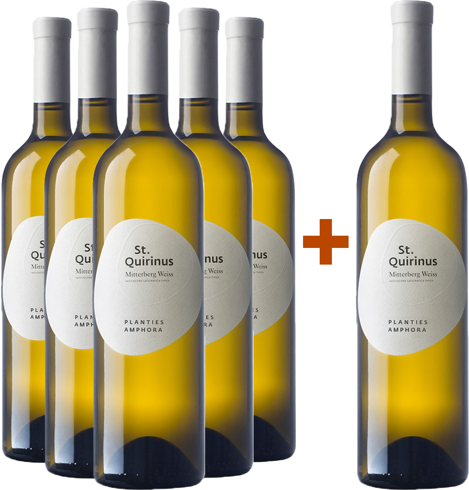 5+1 Planties Weiss Amphora Mitterberg IGP BIO 5+1 Planties Weiss Amphora Mitterberg IGP BIO