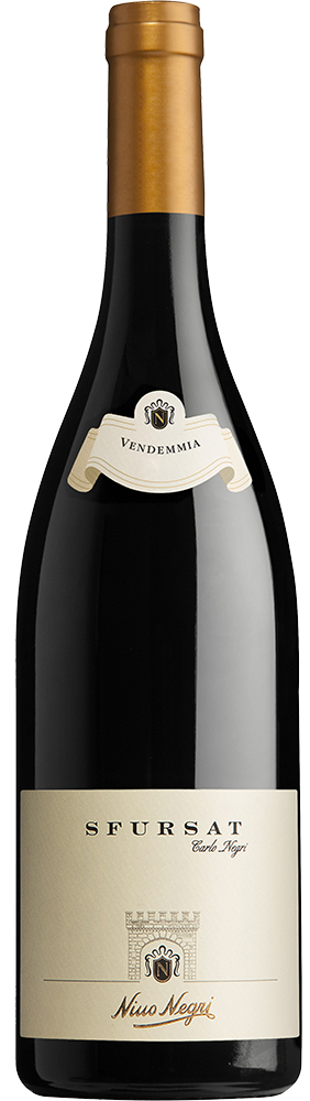 2021 Sfursat Carlo Negri Nebbiolo Sforzato della Valtellina DOCG