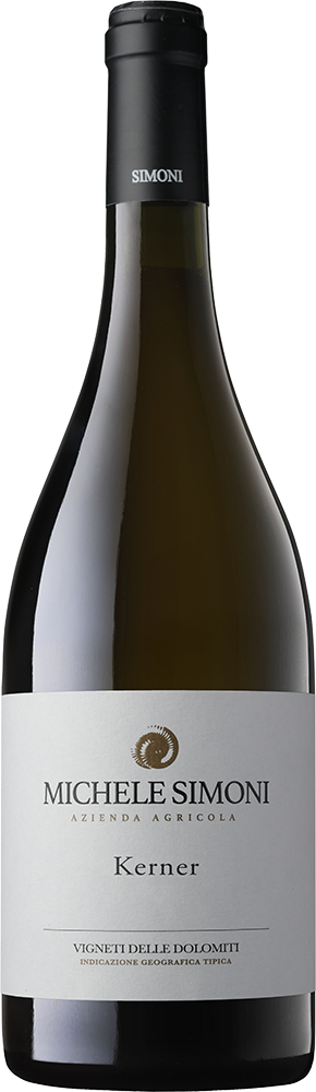 2020 Sauvignon Vigneti delle Dolomiti IGP 2020 Sauvignon Vigneti delle Dolomiti IGP