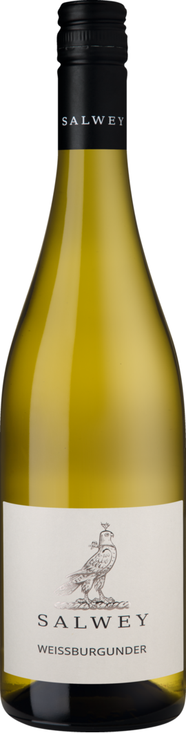 Weingut Salwey 2025 Salwey Weißburgunder