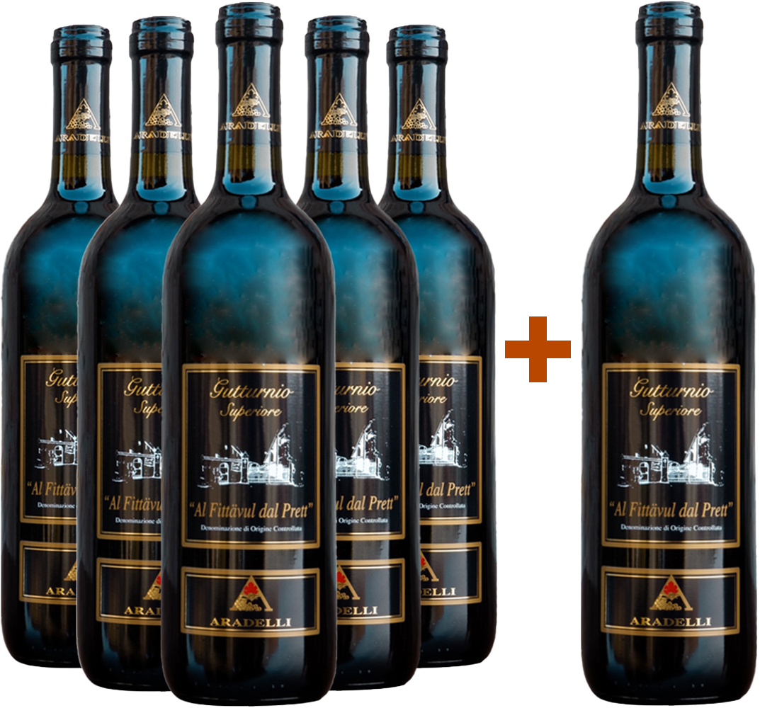5+1 Riserva Superiore Gutturnio DOC 5+1 Riserva Superiore Gutturnio DOC