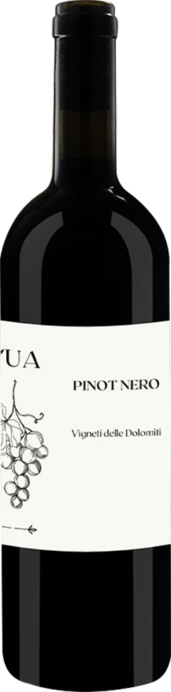 2023 Pinot Nero Vigneti delle Dolomiti IGP