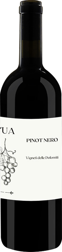 2023 Pinot Nero Vigneti delle Dolomiti IGP 2023 Pinot Nero Vigneti delle Dolomiti IGP