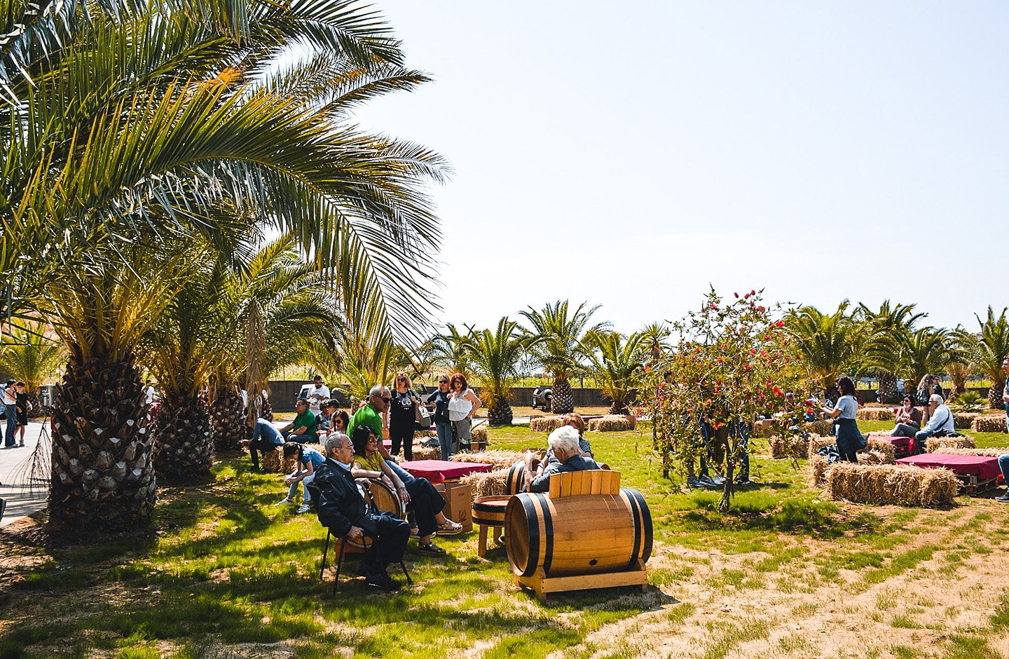 manufacturer_francesco_malena_slide_1 manufacturer_francesco_malena_slide_1