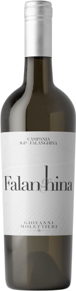 2024 Falanghina Campania IGP 2024 Falanghina Campania IGP
