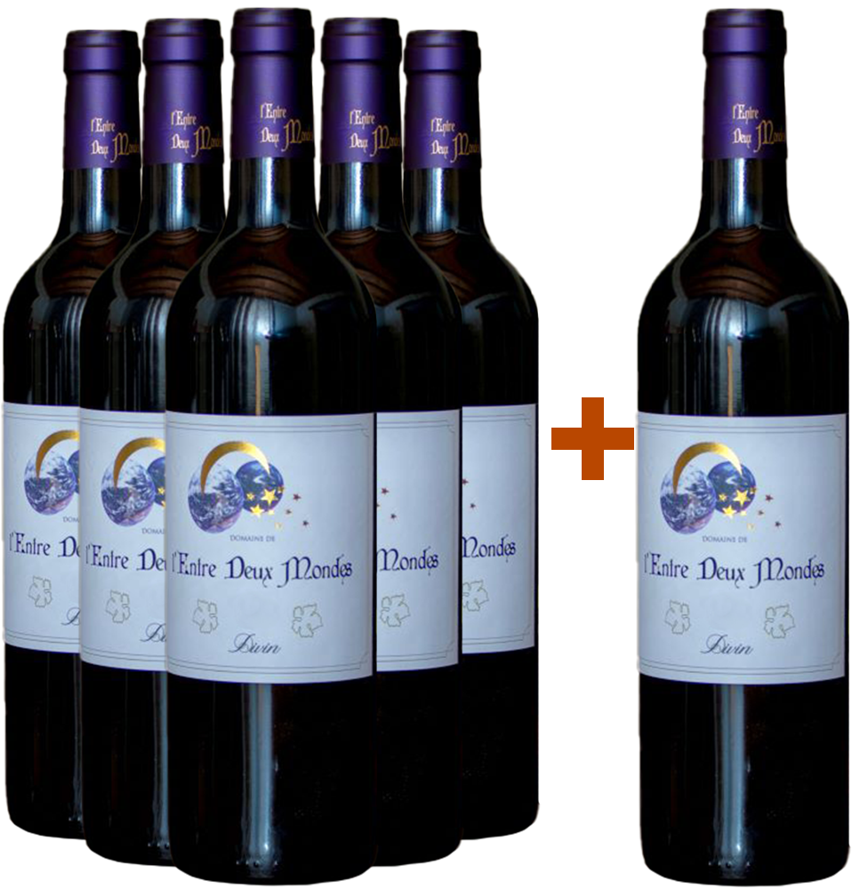 5 + 1 Cuvée Divin BIO 5 + 1 Cuvée Divin BIO