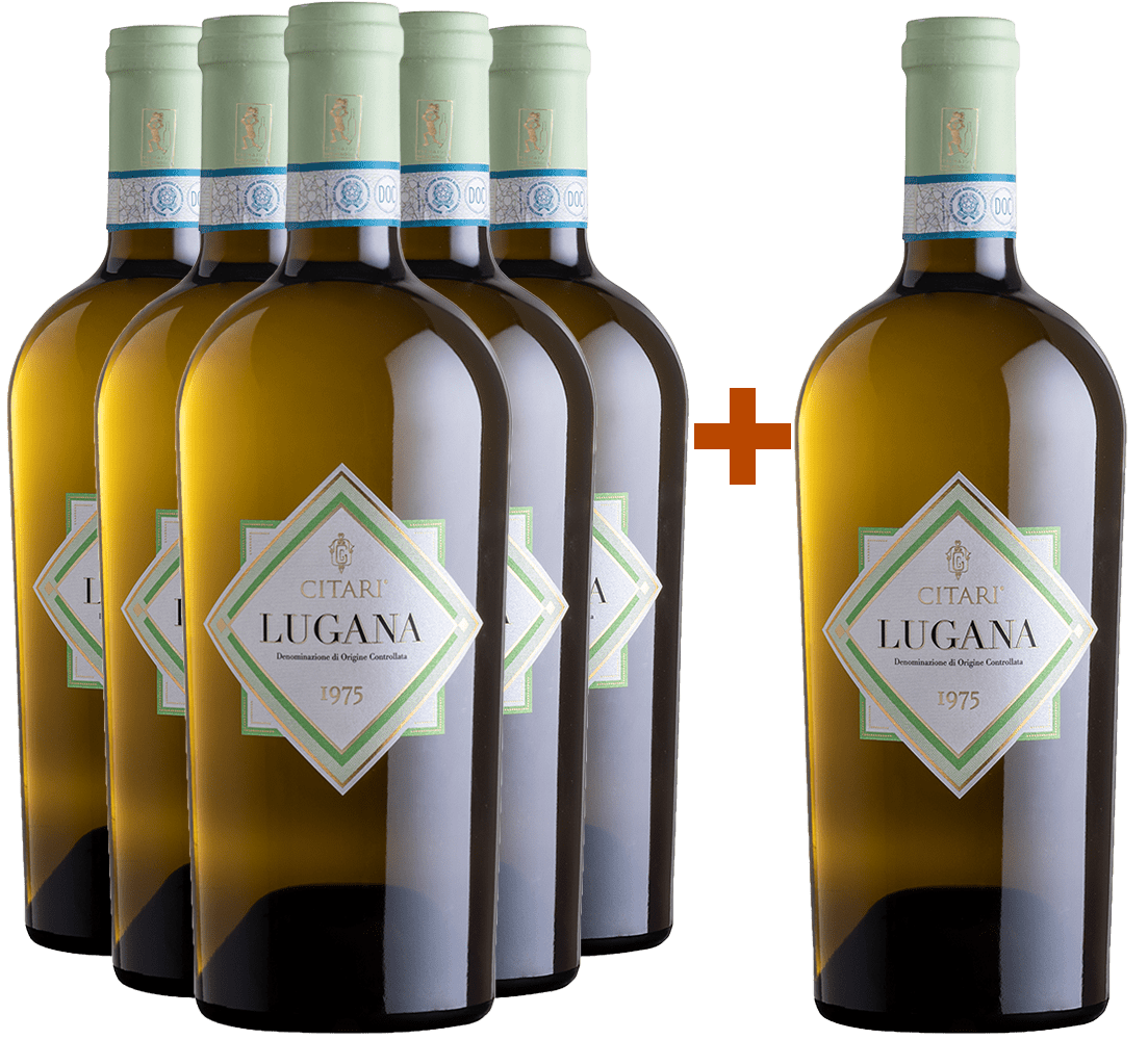 5+1 1975 Lugana DOC 5+1 1975 Lugana DOC